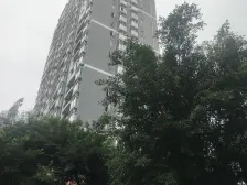 布克公馆精装修一室一厅 居家安静