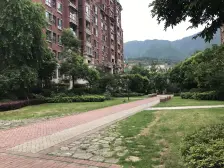 小区新,环境优美,人车分流,人文小区,出行生活方便