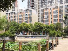 金海西湖美景复式采光充足交通便利