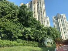 新上和茂苑一期小户 小区前排 店长推荐