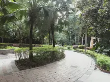 龙头寺 鲁能星城二街区三房180万