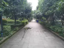 融汇广场旁正规两房 视野好无遮挡