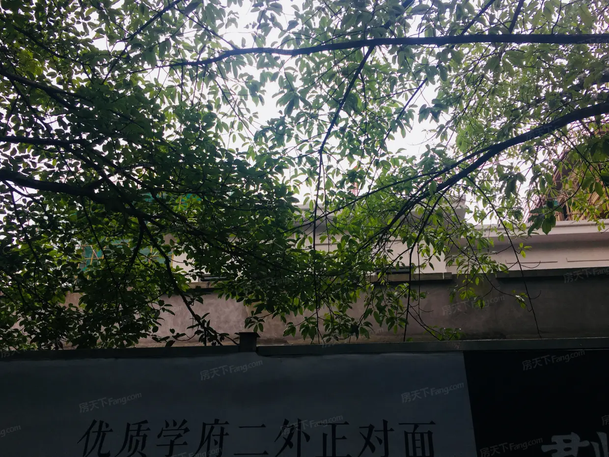 君临南山崇德府