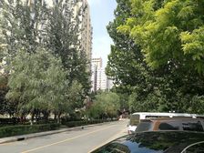 三环边方庄桥东南角高楼层无遮挡人车分流
