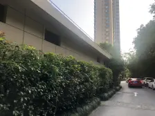 和茂苑二期,中高楼层经典两室,满五年,立达可用