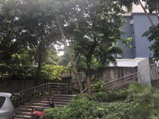 星耀国际 1室1厅 东