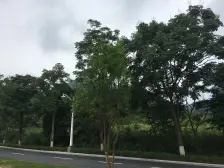 金科品质次新小区+下叠别墅带花园,环境好适合住家