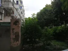 近地铁 一楼带大花园+飞机户型+小区已改造好+诚意出售