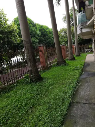南湖明珠