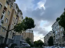 满五税费少,毛坯,有钥匙,南北通房型,采光通风好