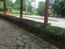 叠拼,横厅,带花园,跃层