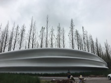 金科品质次新纯墅区 通电梯 上叠三层楼带露台 配套齐