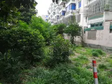 江海新村 3室1厅 南