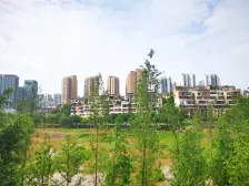 两路空港 御城华府三房195.7万