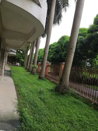 南湖明珠