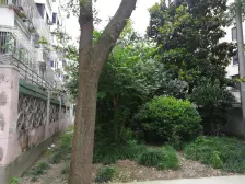 总价低,两南房,厨卫朝北有窗。