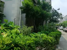 世博后滩景观房,复式洋房南北大露台,三房三厅二卫,电梯征询中