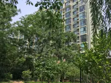 新上银丰山庄 电梯复式 有露台 带地下室 有车位