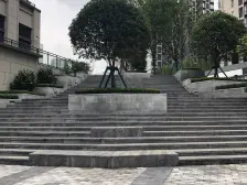 万科精装,朝向朝东,采光通风好。业主诚心出售。