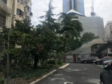 陆家嘴商圈 八佰伴旁电梯房 近地铁 满五 诚意出售