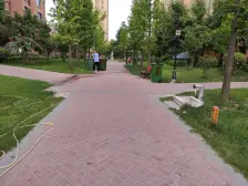 洋房社区,八成以上都是洋房,采光和视野都很好