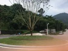 茶园新区 金科南山3-2组团三房110万