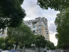 张江南 南北通 满五 v一 采光充足 近11号线 带院子