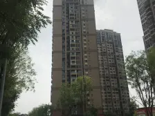 招商花园城 1室1厅 西南 南