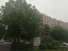 奉贤新城宝龙地铁口、新华医院、南北通两房、中间楼层