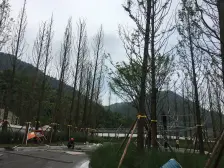 茶园新区 金科南山15组团二房150万