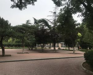 8小区 三层 三室 随时看房啊 位置好 小区有幼儿园