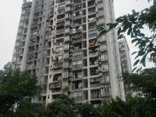 康田龙腾湾 2室1厅 南 北