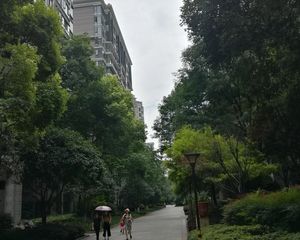 神仙树大院四期3室1厅东南