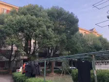 主卧朝南,大开间,居家装修,诚意出售