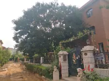 海边的独栋别墅,地上三层,带300平左右的院子