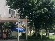 双楠两房,精装修,滨江板块,虹桥区辐射范围内
