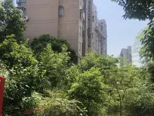 聚缘南庭 2室1厅 南