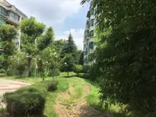 大宁商圈旁00后商品房,19号线地铁口。