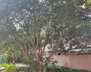 小区中间位置,客厅朝南,居住舒适采光好