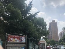 永和丽园7室3厅东南