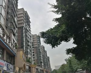 神仙树大院四期4室2厅南