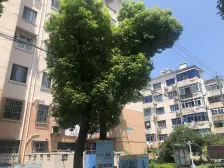 双柏大两房精装修,可拎包入住,满五年