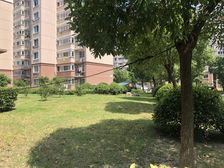 三房飞机户型,精装,近地铁,山钢生活广场+万达广场