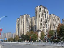 实地蔷薇国际东区4室2厅西南