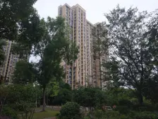 ???三开间朝南大两房,小区中间,满五年,诚意出售