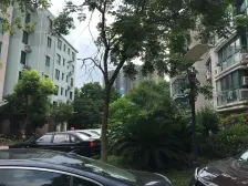 店长推荐:精致大院子 三年新装修 拎包入住 价格美丽