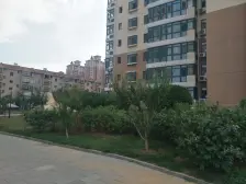 海洋花园 东南户型 采光好视野开阔