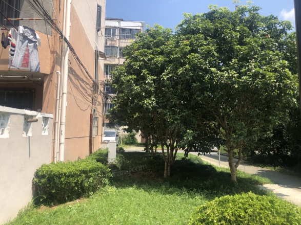 双柏小区