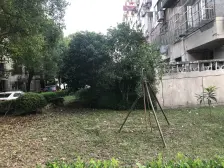 凌桥二村 2室1厅 南 北