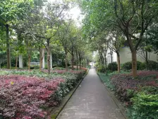 两路空港 瑞丰花苑三房90.8万